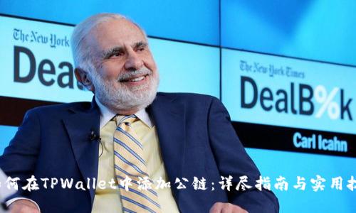  如何在TPWallet中添加公链：详尽指南与实用技巧