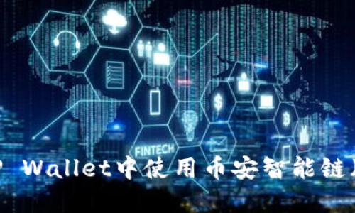 全面指南：如何在TP Wallet中使用币安智能链（BSC）进行加密交易