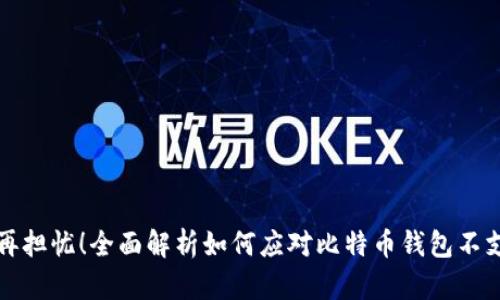 比特币钱包不再担忧！全面解析如何应对比特币钱包不支持加密的问题