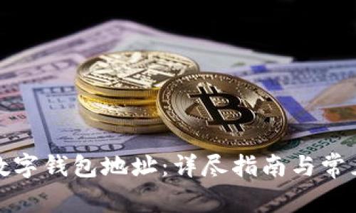如何更改数字钱包地址：详尽指南与常见问题解答