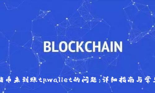 如何解决猪币未到账tpwallet的问题：详细指南与常见疑问解答