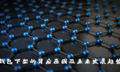 数字钱包下架的背后原因