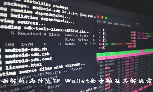 全面解析：为什么TP Wallet会卡顿及其解决方案