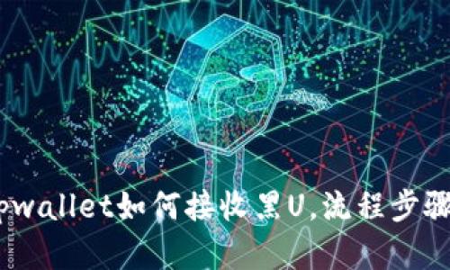 全面解析：tpwallet如何接收黑U，流程步骤与安全须知