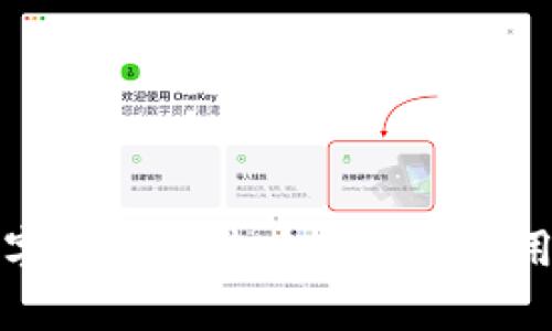 探索俄罗斯数字钱包的未来：技术、应用与安全性解析
