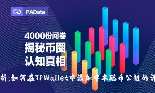 全面解析：如何在TPWallet中添加中本聪币公链的详细指南