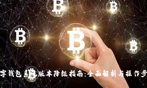 数字钱包系统版本降级指南：全面解析与操作步骤