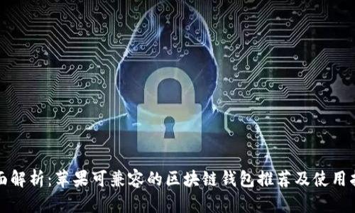 全面解析：苹果可兼容的区块链钱包推荐及使用指南