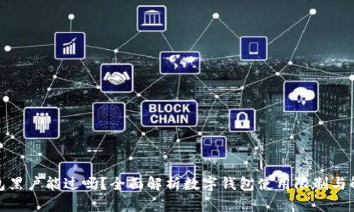 数字钱包黑户能过吗？全面解析数字钱包使用限制与解决方案