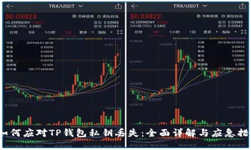  如何应对TP钱包私钥丢失：全面详解与应急措施