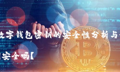 在数字时代，数字钱包密钥的安全性分析与最佳保护措施

数字钱包密钥安全吗？