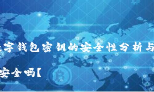 在数字时代，数字钱包密钥的安全性分析与最佳保护措施

数字钱包密钥安全吗？