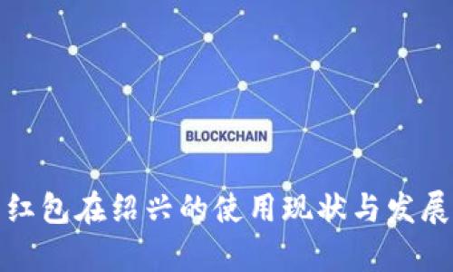 数字钱包红包在绍兴的使用现状与发展前景分析