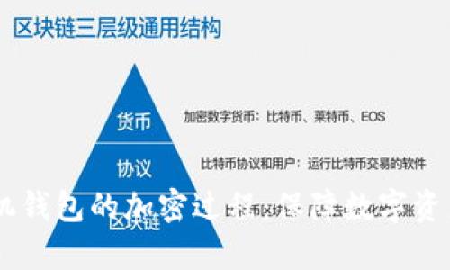 深入探讨0pp0手机钱包的加密过程：保障数字资产安全的技术基础
