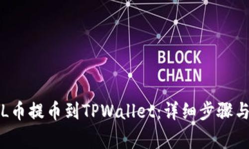 如何将FIL币提币到TPWallet：详细步骤与注意事项
