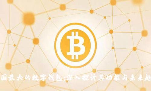 美国最大的数字钱包：深入探讨其功能与未来趋势