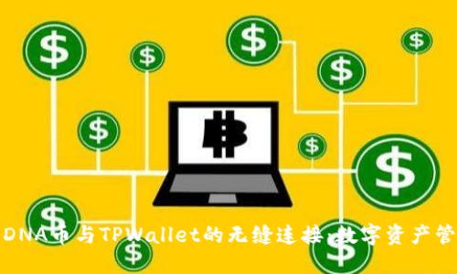 探索元界DNA币与TPWallet的无缝连接：数字资产管理的未来