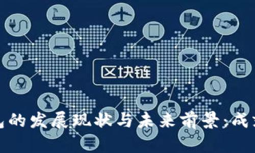 数字钱包的发展现状与未来前景：成就与挑战