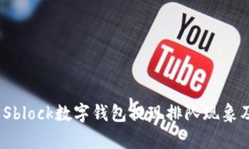 深度解析：Sblock数字钱包提现排队现象及解决方案
