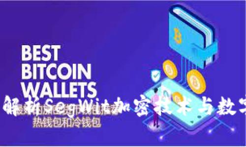 OK钱包：深度解析SegWit加密技术与数字资产安全性