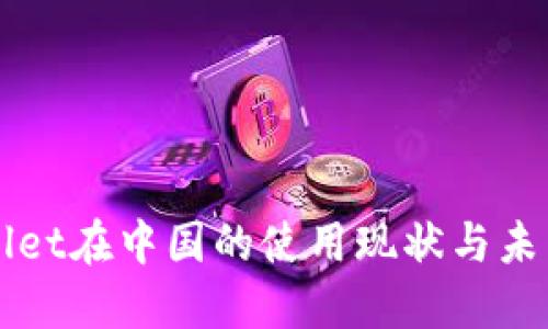 TPWallet在中国的使用现状与未来展望