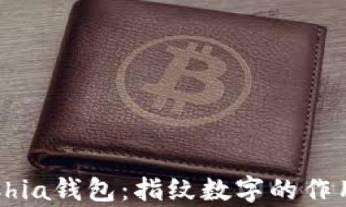 
深入解析Chia钱包：指纹数字的作用与安全性