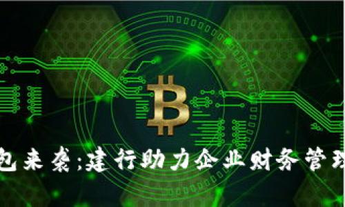 数字钱包来袭：建行助力企业财务管理新模式