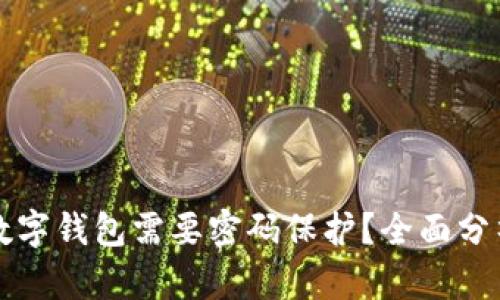 为什么你的数字钱包需要密码保护？全面分析与实用建议