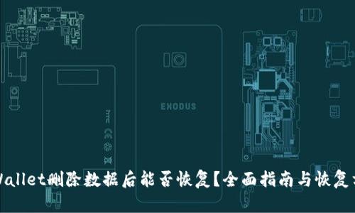 TPWallet删除数据后能否恢复？全面指南与恢复方法