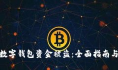如何应对数字钱包资金被
