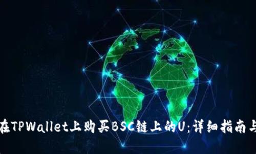 如何在TPWallet上购买BSC链上的U：详细指南与技巧