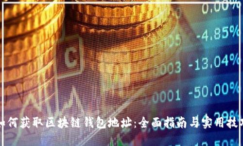 如何获取区块链钱包地址：全面指南与实用技巧