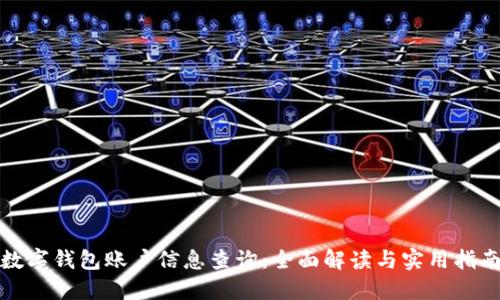 数字钱包账户信息查询：全面解读与实用指南