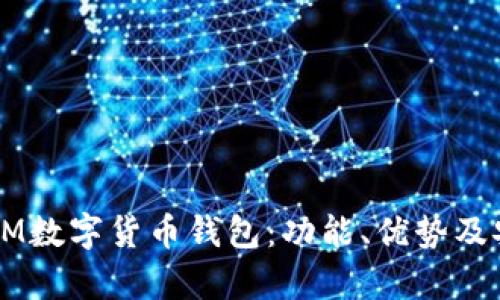 全面解析DM数字货币钱包：功能、优势及安全性评价
