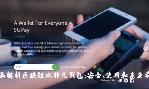 全面解析区块链比特元钱包：安全、使用和未来前景