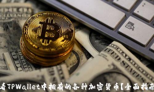 
如何查看TPWallet中拥有的各种加密货币？全面指南与技巧