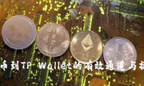 币安提币到TP Wallet的有效通道与操作指南