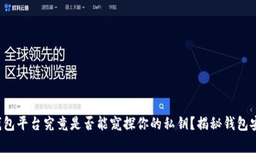  区块链钱包平台究竟是否能窥探你的私钥？揭秘钱包安全的真相