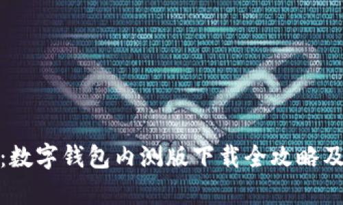 全面解析：数字钱包内测版下载全攻略及使用体验