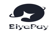 如何在TPWallet上查看购买加