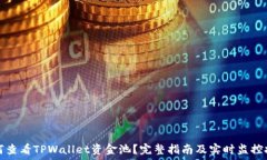   如何查看TPWallet资金池？完整指南及实时监控技