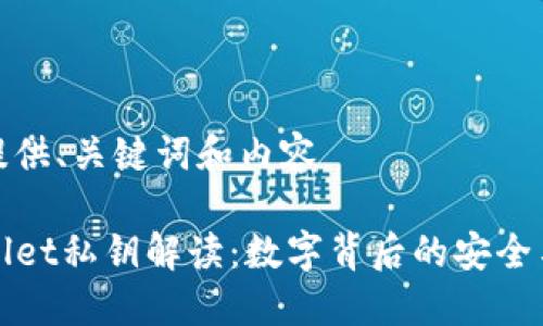 自己提供、关键词和内容

TPWallet私钥解读：数字背后的安全与隐私