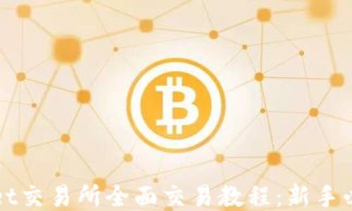 
TPWallet交易所全面交易教程：新手必备指南