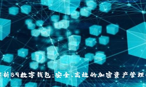全方位解析B9数字钱包：安全、高效的加密资产管理解决方案