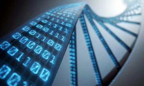 

区块链钱包地址详解：一站式理解与应用