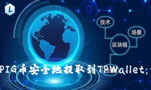  如何将PIG币安全地提取到TPWallet：详细指南