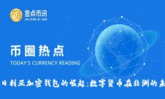 尼日利亚加密钱包的崛起