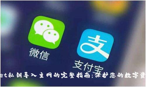 tpwallet私钥导入主网的完整指南：保护您的数字资产安全