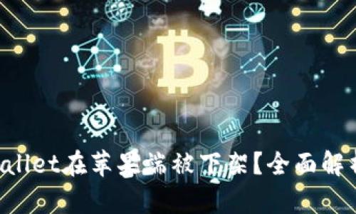  为什么TPWallet在苹果端被下架？全面解析与未来展望