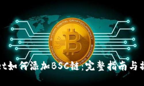TPWallet如何添加BSC链：完整指南与操作步骤